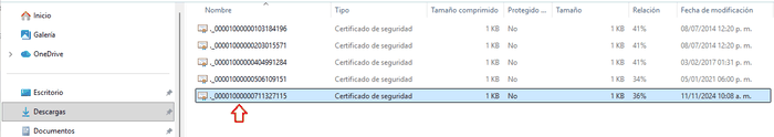 Archivos .CER del certificado PAC en la carpeta Descargas